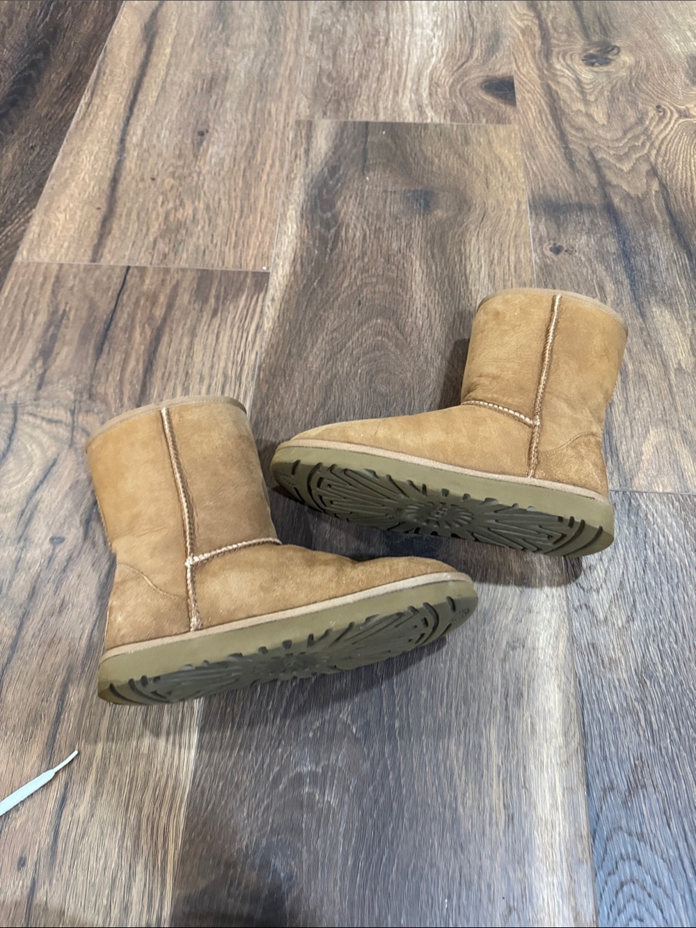 UGG Classic Short Suede Sheepskin Boot — Chestnut - Picture 4 of 6